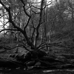 Heroines of the U.S.S.R