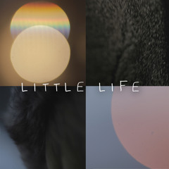 little Life