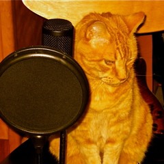 Big Orange Cat Sound