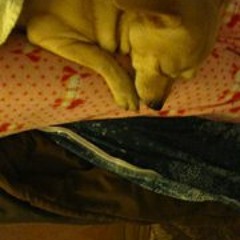 Mary Margaret McClaskey