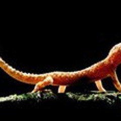 Manuel Sordero Dela Cruz