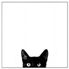 Cat Chen