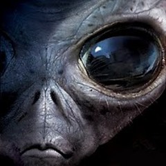 alien.m4l