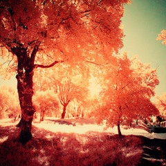 PHANTOM - 청소년이 들으면 안되는 사랑노래