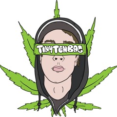 tinytenbag