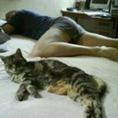 Ross William Williamson