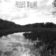 HeadlessSwallows