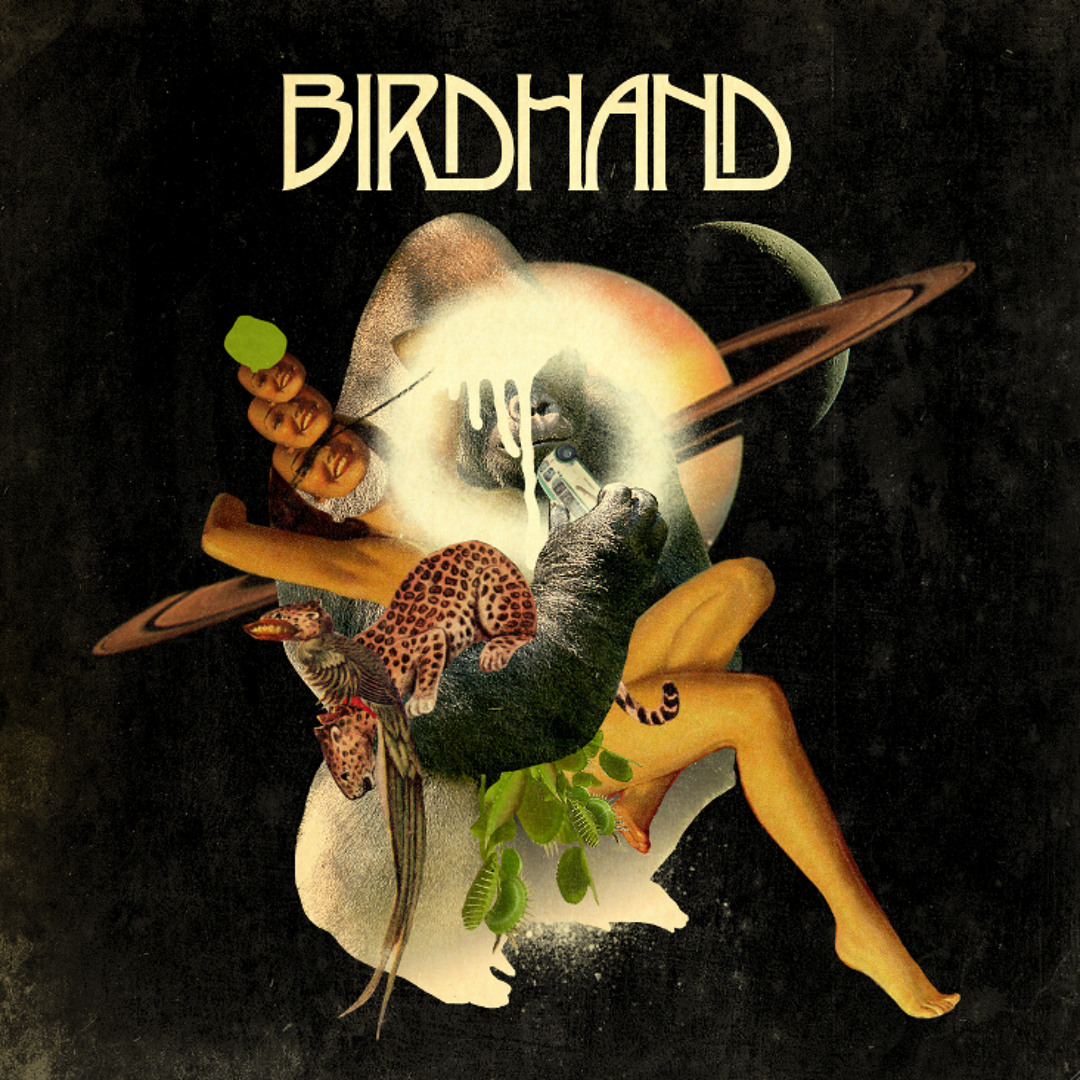 Stream BIRDHAND music | Listen to songs, albums, playlists