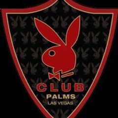 Tomas Cat Magallanes