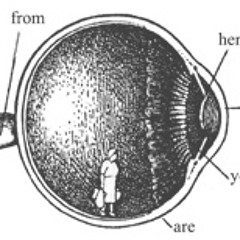 Array 1(scarred by storm-built by man)