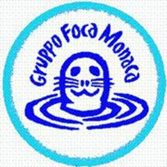 Foca Monaca Nuragica