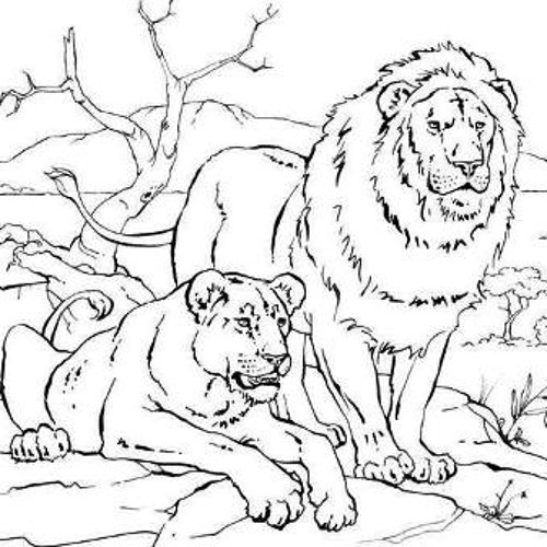 - Elyscha Tout Nous S pare In dit 2011