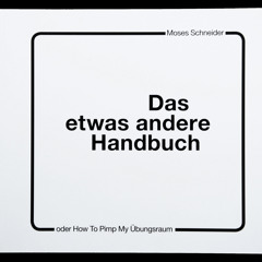 Moses Schneider im Interview bei FluxFM (ehem. MotorFM) 05.08.11 - <PART2>