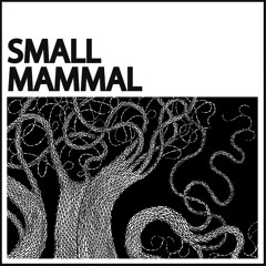 Small Mammal