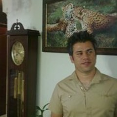 Amin Bozorgan