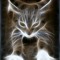 Kitty Tronics