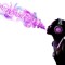 Synphonik Beets