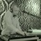 djwakim