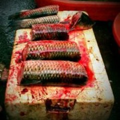 David Valle Del Barrio