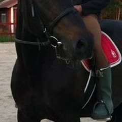 Erik Grafström