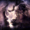 lavender lion