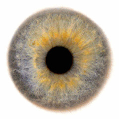 breakin2electricboogaloo