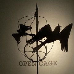 Open Cage