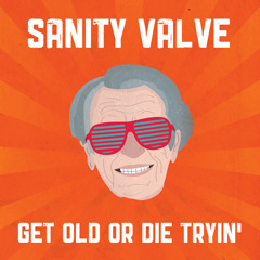 Sanity Valve