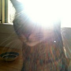 Ʉ₦₵ⱠɆ ₲wɄ₥₱Ɏ