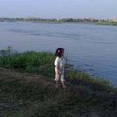 Ahmed Shaaban