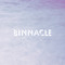 Binnacle
