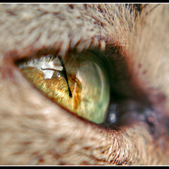 wanna be free 20120616@HK