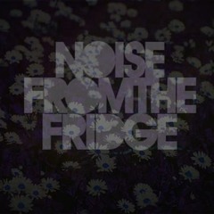 Noise From The Fridge