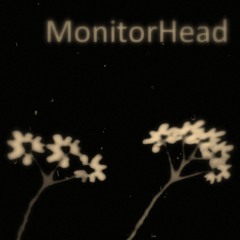 MonitorHead
