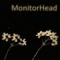 MonitorHead