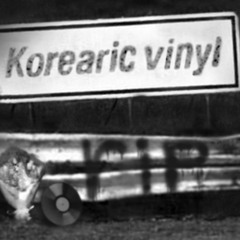 korearicvinylrip