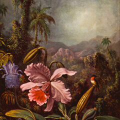 Jean-Christian