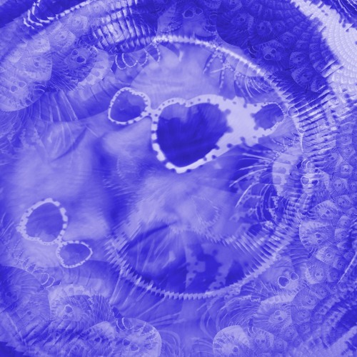 gedankenexperiment preview LSDronica