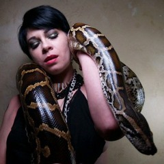 SaintMedusa Belly Dancer