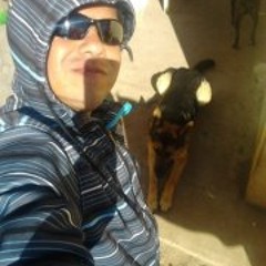 porotitos festinalenterec