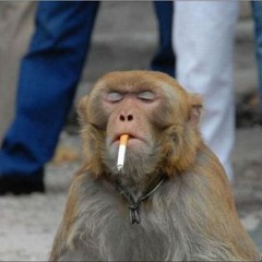 the Almagest: House Music