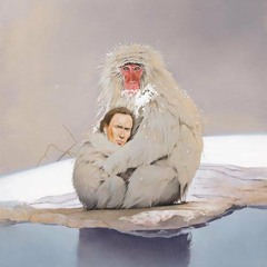 sweatpantsinparadise