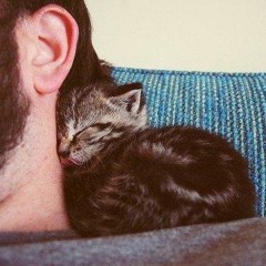 Alessandro Mezzogori