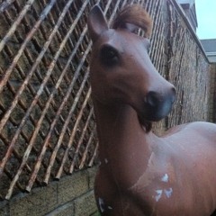 grass beards and banjos