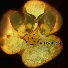 totusmonkey