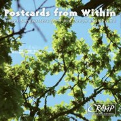 Crediton Rising Artists