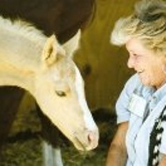 Susan Steele Loughnane