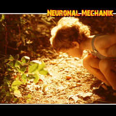 Neuronal Mechanik