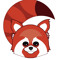 a lesser panda