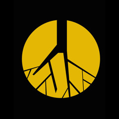 DJ Dust (Origin Sound)